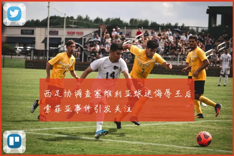 西足协调查塞维利亚球迷侮辱王后索菲亚事件引发关注