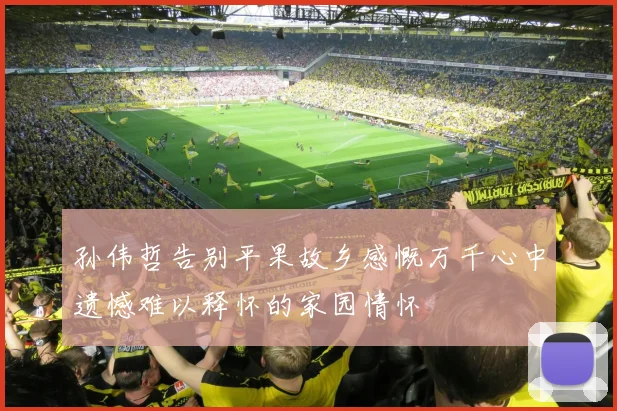 孙伟哲告别平果故乡感慨万千心中遗憾难以释怀的家园情怀