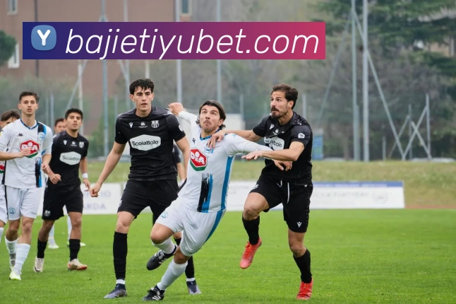 八戒体育品牌故事